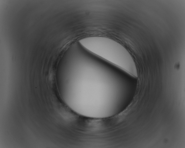 X0000096690132200802051046