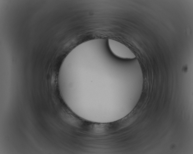 X0000096690134200802051046