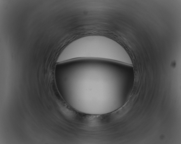 X0000096690136200802051046