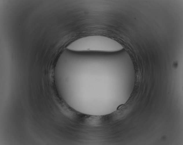 X0000096690138200802051046