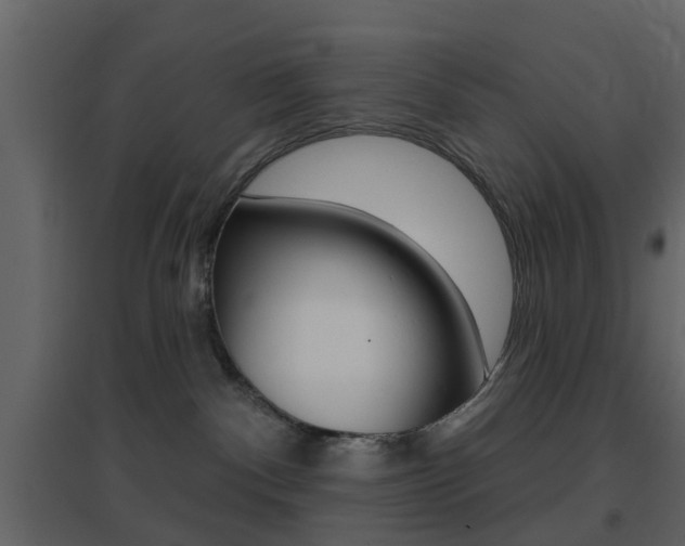 X0000096690140200802051046