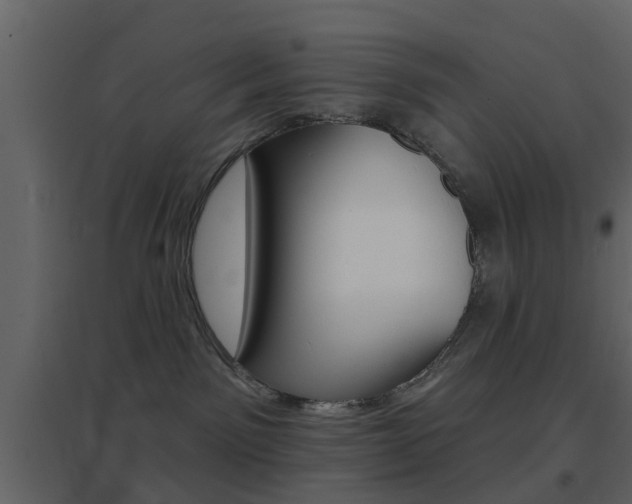 X0000096690141200802051046