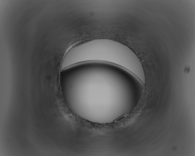 X0000096690144200802051046