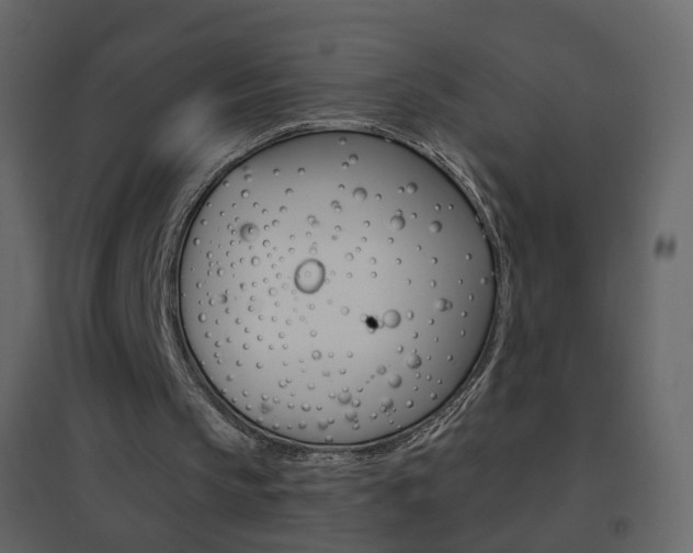 X0000096690145200802051045