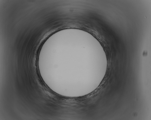 X0000096690146200802051045