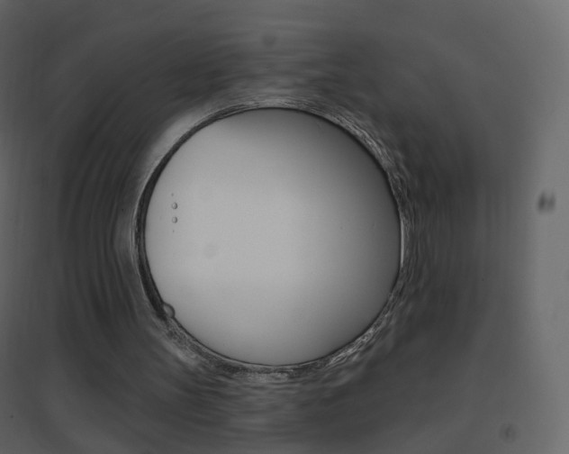 X0000096690147200802051045