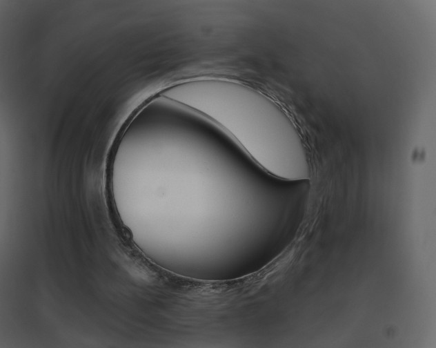 X0000096690148200802051045