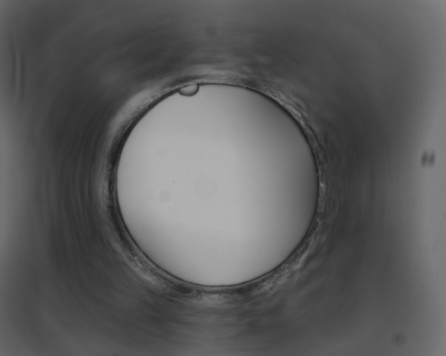 X0000096690149200802051045
