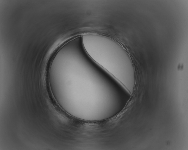 X0000096690150200802051045