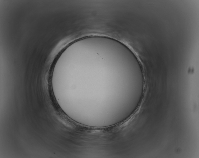 X0000096690151200802051045