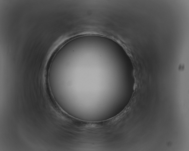 X0000096690152200802051045