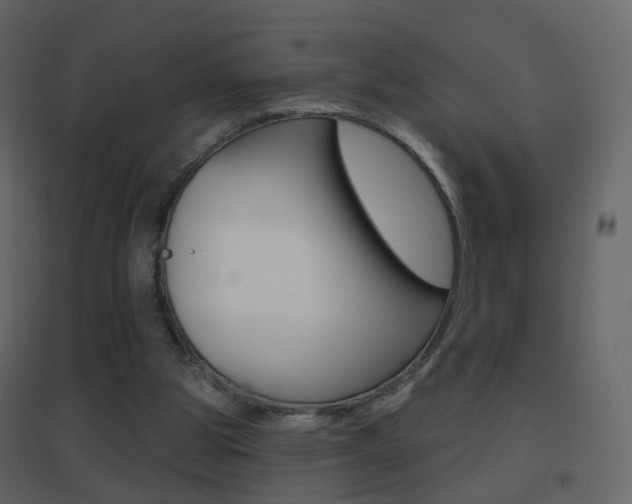 X0000096690153200802051045