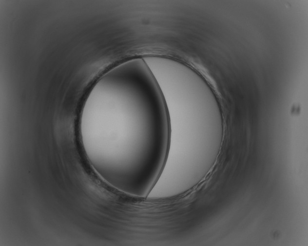 X0000096690154200802051045