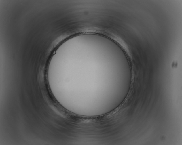 X0000096690155200802051045