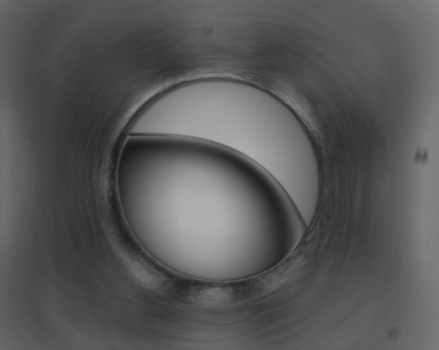 X0000096690156200802051046