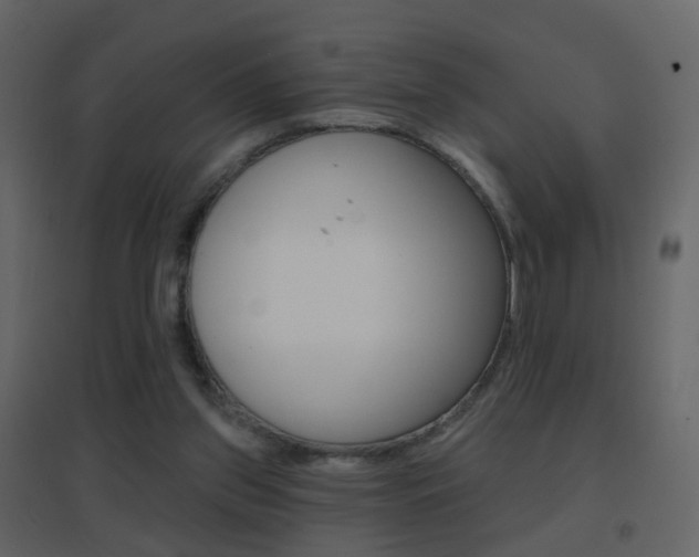 X0000096690157200802051046