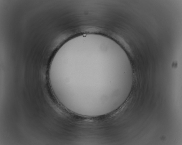 X0000096690159200802051046
