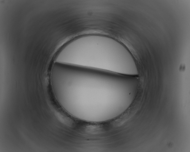 X0000096690160200802051046