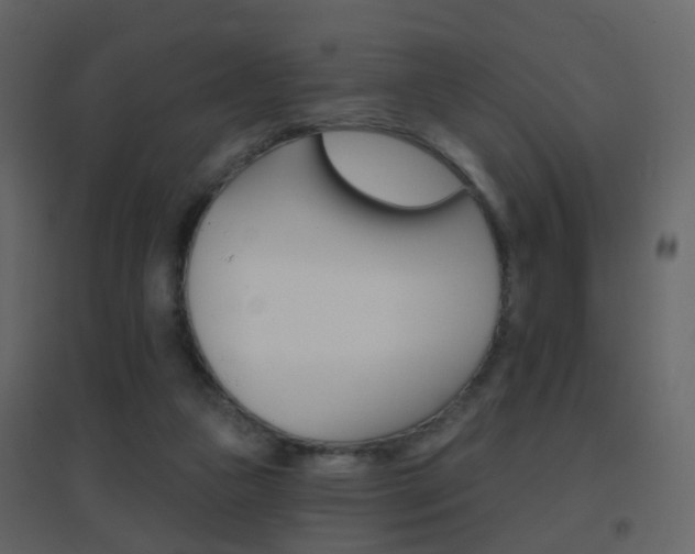X0000096690161200802051046