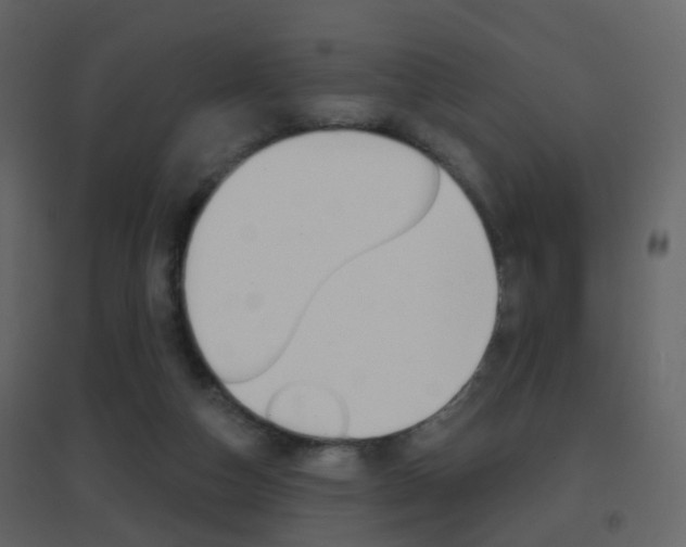 X0000096690162200802051046