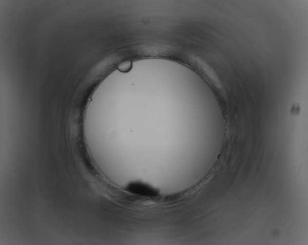 X0000096690163200802051046