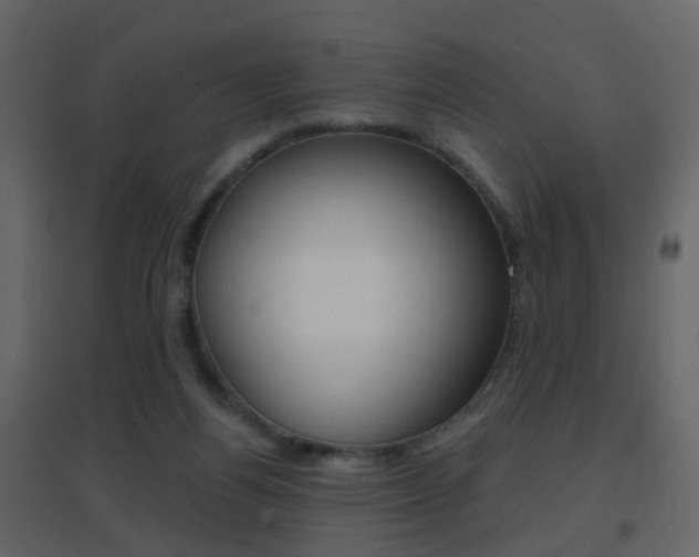 X0000096690164200802051046