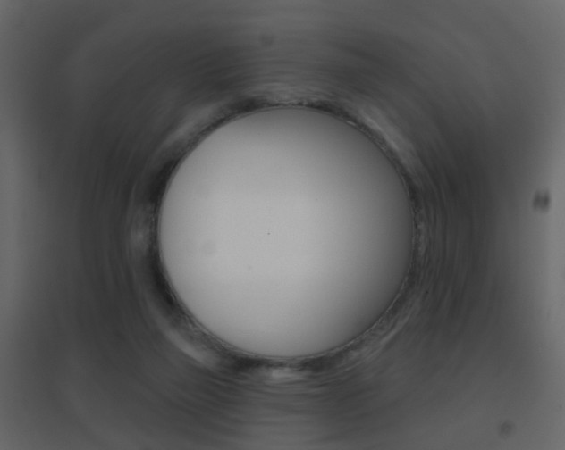 X0000096690165200802051046