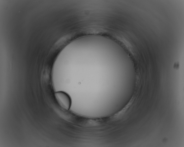 X0000096690166200802051046