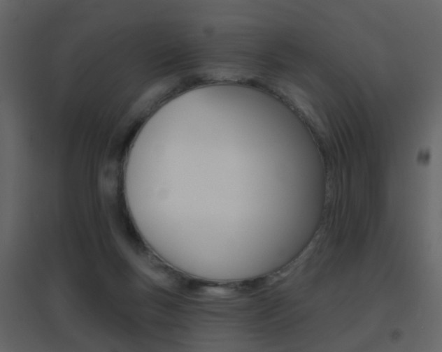 X0000096690167200802051046