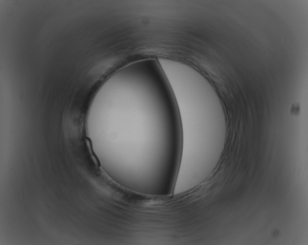 X0000096690168200802051046
