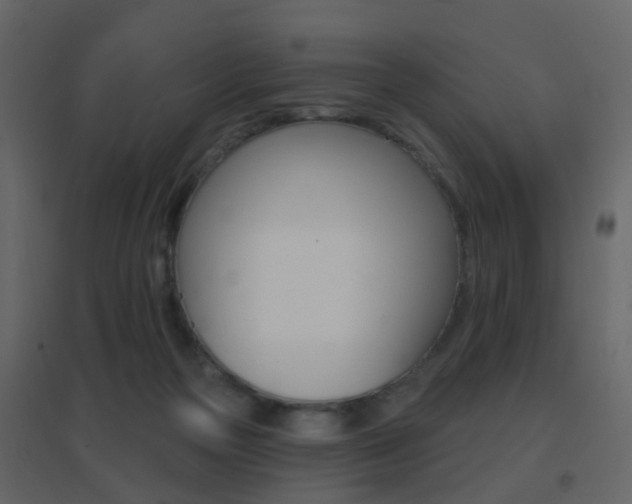 X0000096690169200802051046