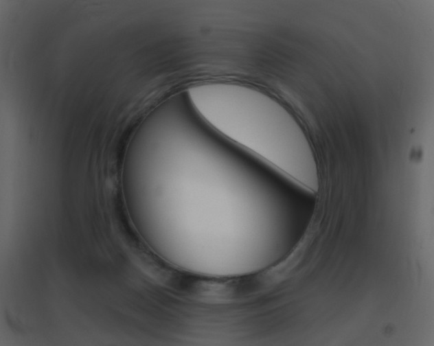 X0000096690170200802051046