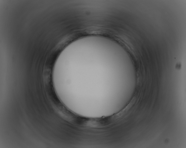 X0000096690171200802051046