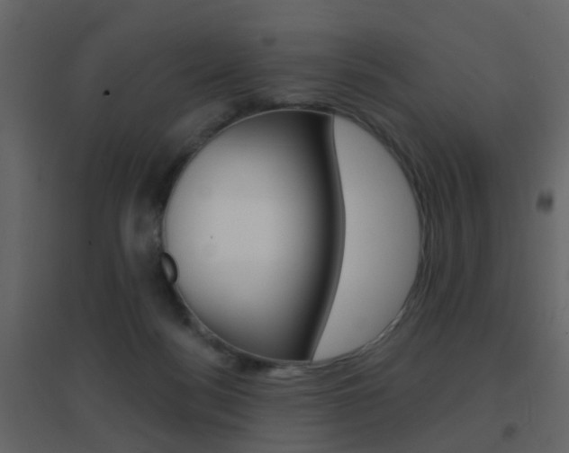 X0000096690172200802051046