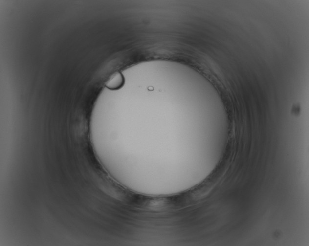 X0000096690173200802051046