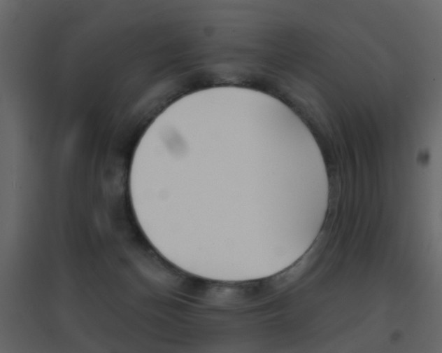 X0000096690174200802051046