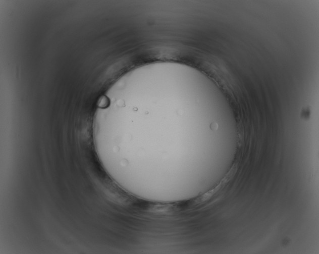 X0000096690175200802051046