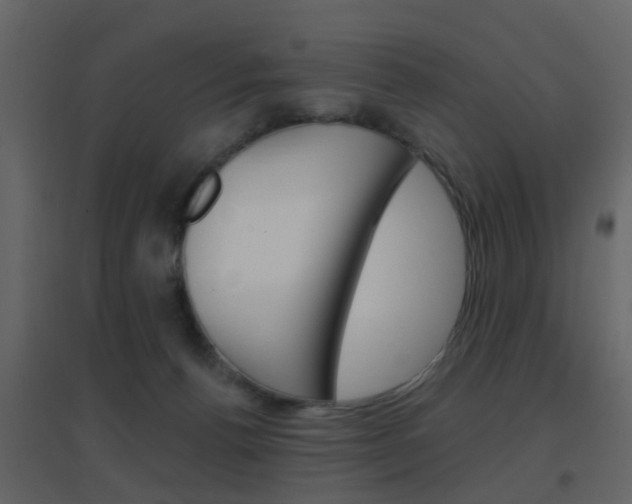X0000096690176200802051046