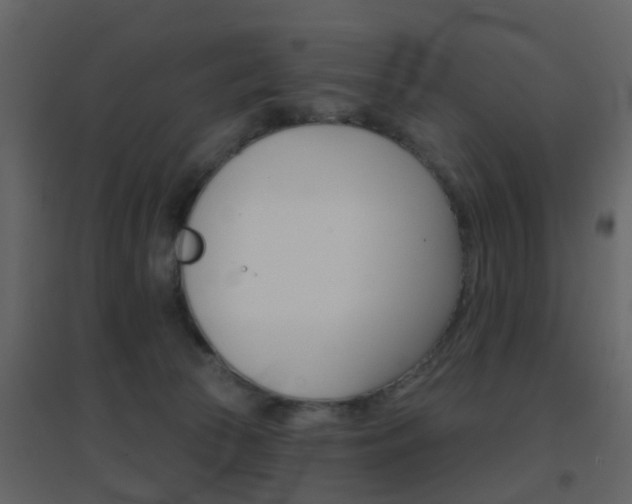 X0000096690177200802051046