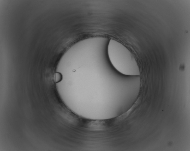 X0000096690179200802051046