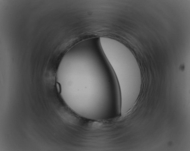 X0000096690180200802051046