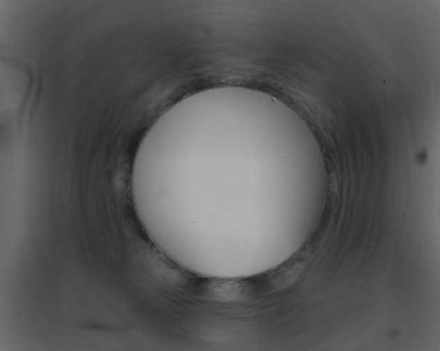 X0000096690181200802051046