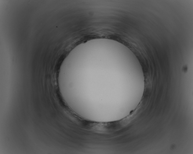 X0000096690182200802051046