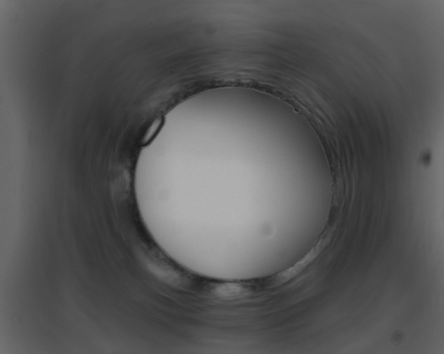 X0000096690183200802051046