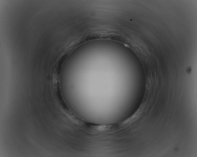 X0000096690184200802051046