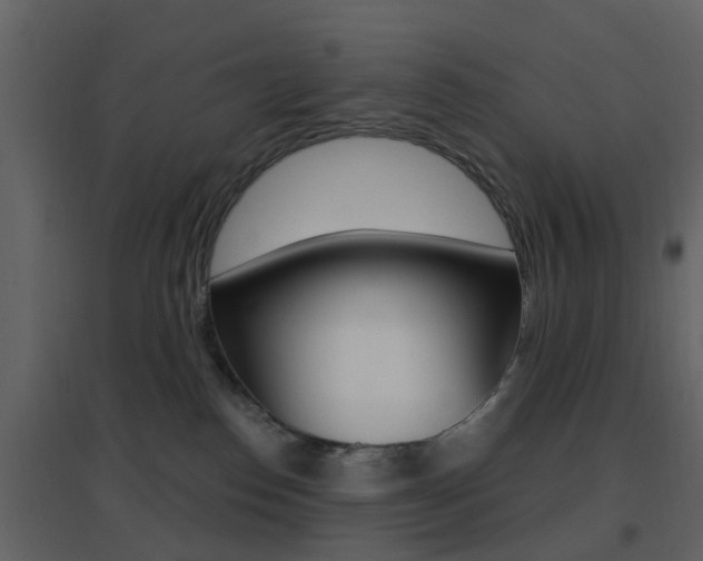 X0000096690186200802051046