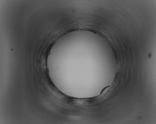 X0000096690187200802051046