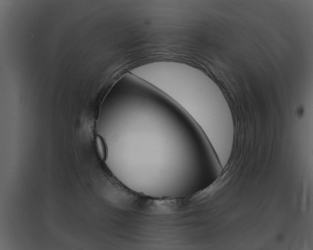 X0000096690188200802051046