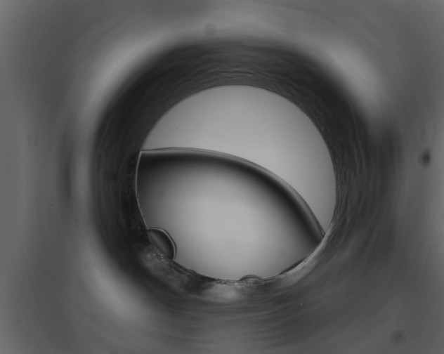 X0000096690190200802051046
