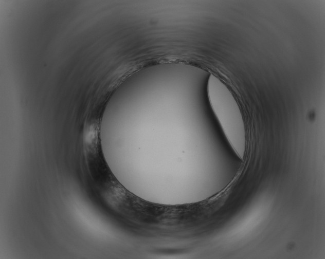 X0000096690191200802051046